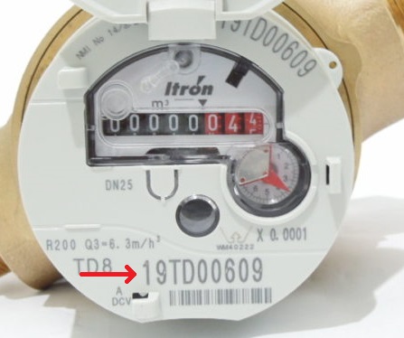 Rous Itron Meter.jpeg